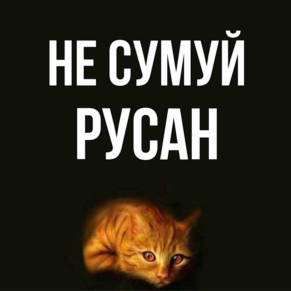 Открытка на каждый день з підписом, Русан Не сумуй лежащий кот в темноте Прикольна листівка з побажанням онлайн скачати безкоштовно 