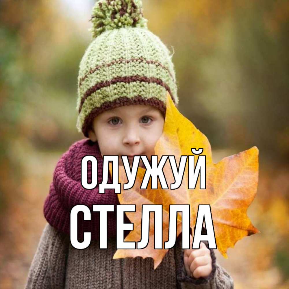 Открытка на каждый день з підписом, Стелла Одужуй дышим свежим воздухом Прикольна листівка з побажанням онлайн скачати безкоштовно 