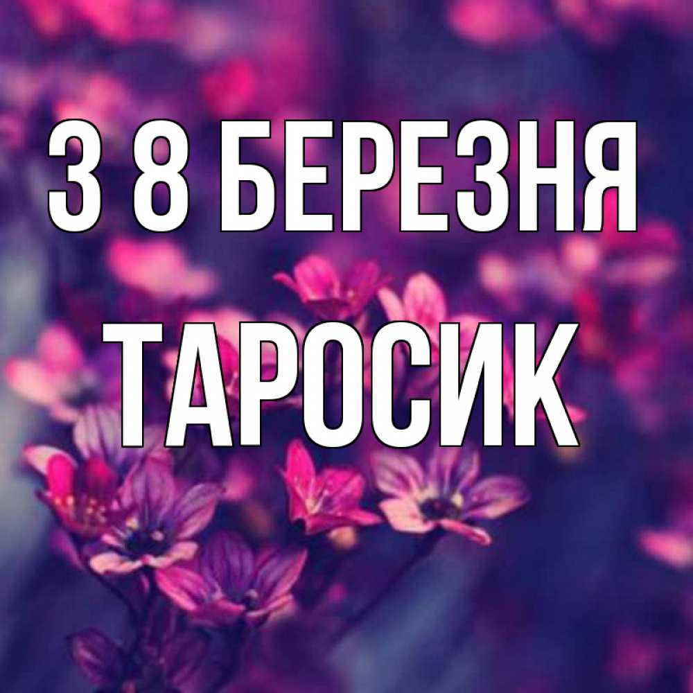 Открытка на каждый день з підписом, Таросик З 8 БЕРЕЗНЯ небольшие цветы 1 Прикольна листівка з побажанням онлайн скачати безкоштовно 
