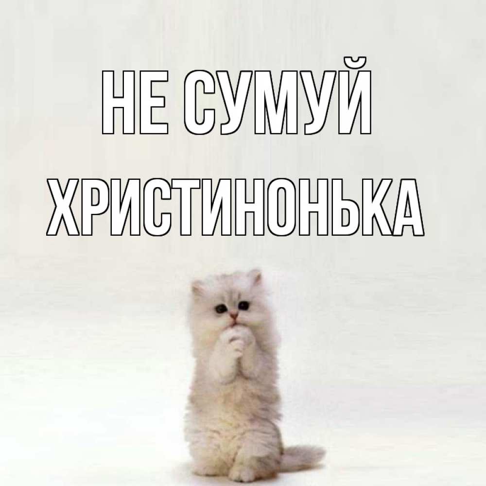Открытка на каждый день з підписом, Христинонька Не сумуй грустный кот Прикольна листівка з побажанням онлайн скачати безкоштовно 