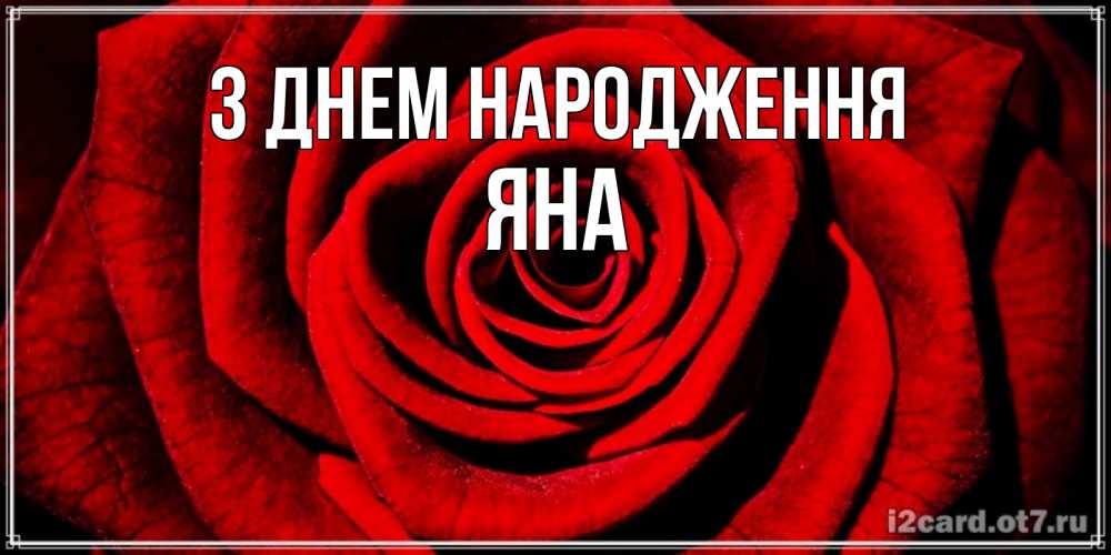 Открытка на каждый день з підписом, Яна З Днем народження алая роза Прикольна листівка з побажанням онлайн скачати безкоштовно 