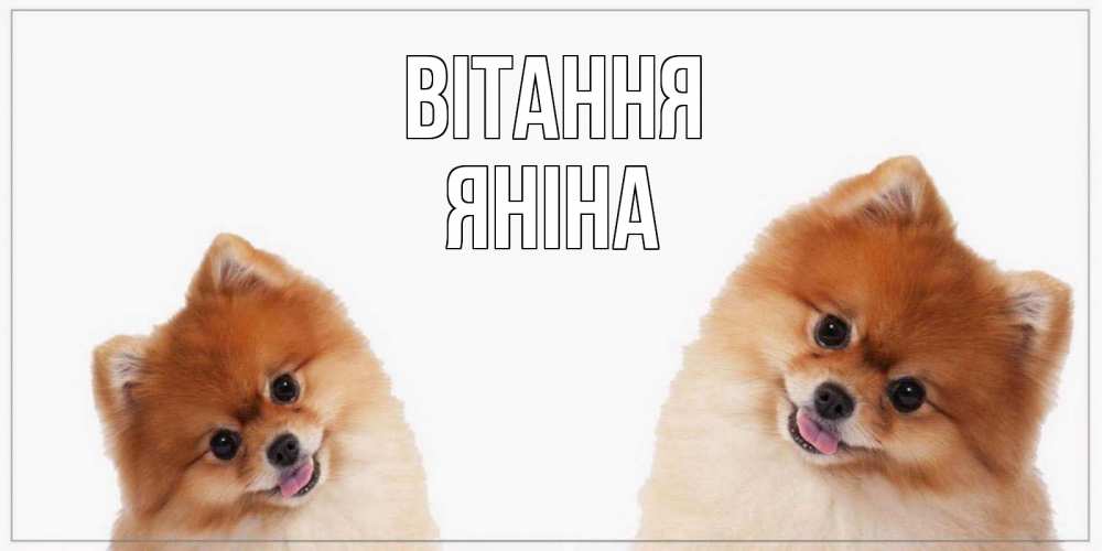 Открытка на каждый день з підписом, Яніна Вітання привет Прикольна листівка з побажанням онлайн скачати безкоштовно 