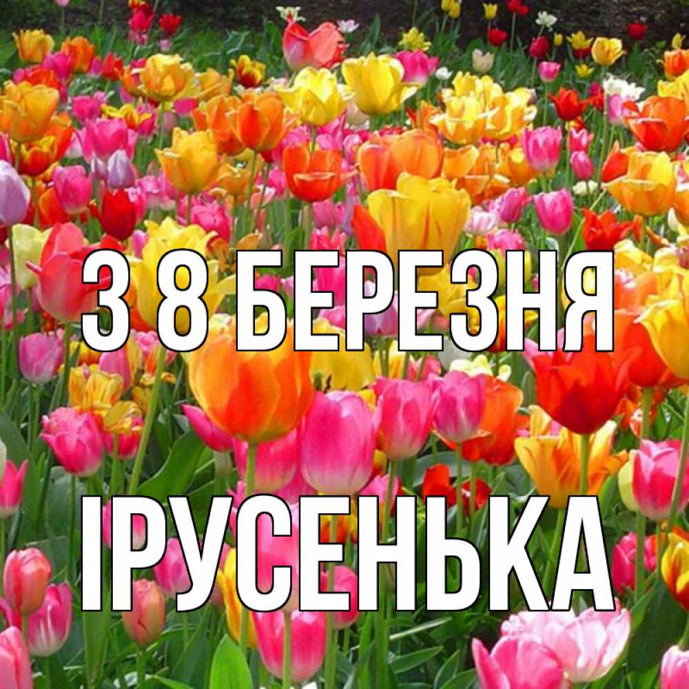 Открытка на каждый день з підписом, Ірусенька З 8 БЕРЕЗНЯ на международный женский день Прикольна листівка з побажанням онлайн скачати безкоштовно 