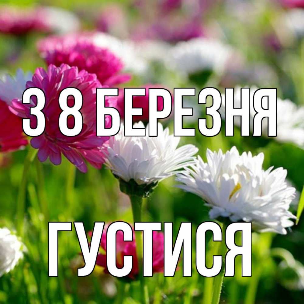 Открытка на каждый день з підписом, Густися З 8 БЕРЕЗНЯ международный женский день 1 Прикольна листівка з побажанням онлайн скачати безкоштовно 