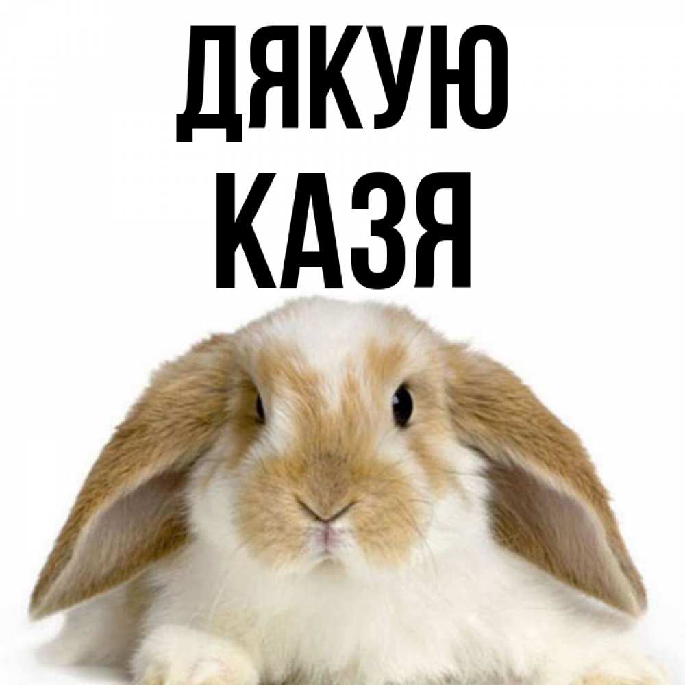 Открытка на каждый день з підписом, Казя Дякую коричнево белый заяц Прикольна листівка з побажанням онлайн скачати безкоштовно 