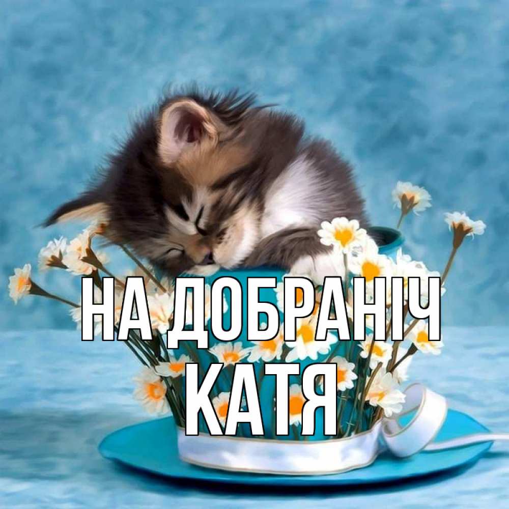 Открытка на каждый день з підписом, Катя На добраніч котенок спит в кружке с блюдцем Прикольна листівка з побажанням онлайн скачати безкоштовно 