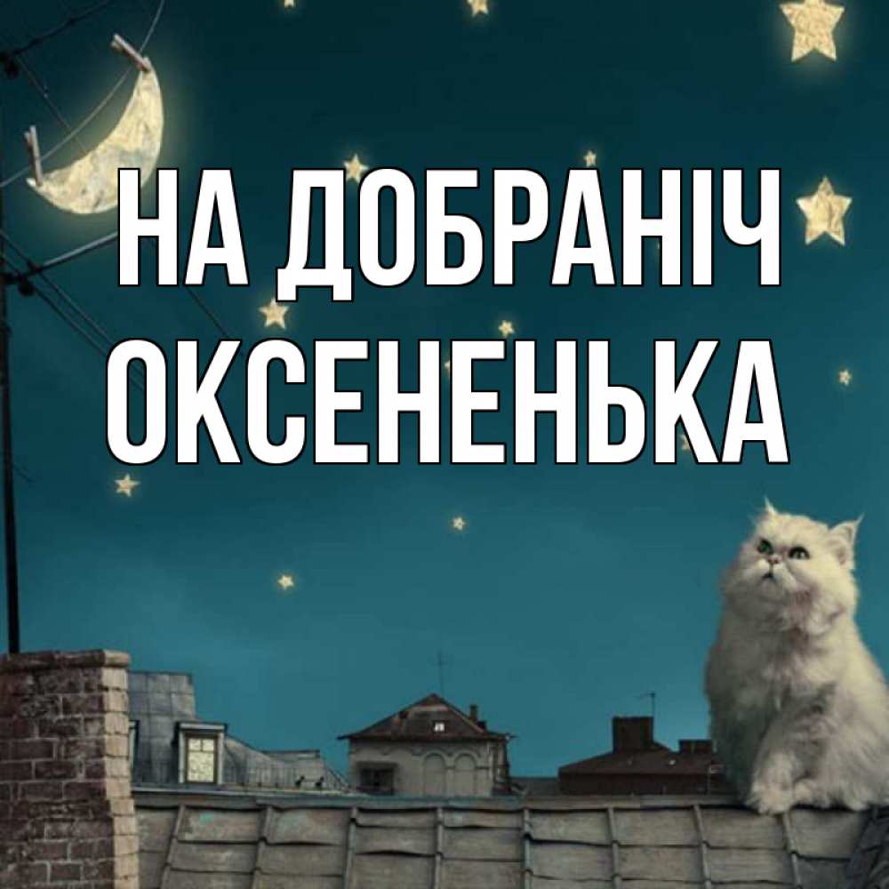 Открытка на каждый день з підписом, Оксененька На добраніч белый кот сидит на крыше Прикольна листівка з побажанням онлайн скачати безкоштовно 