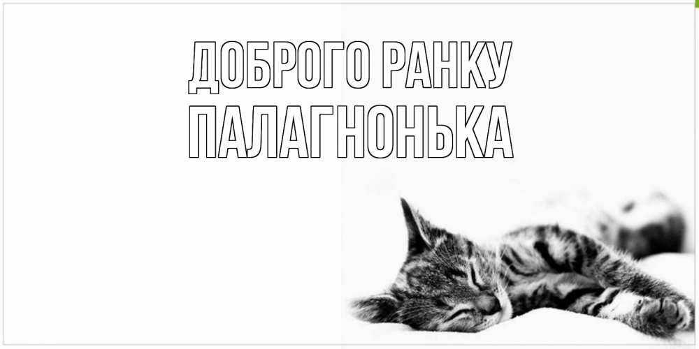 Открытка на каждый день з підписом, Палагнонька Доброго ранку котуся Прикольна листівка з побажанням онлайн скачати безкоштовно 