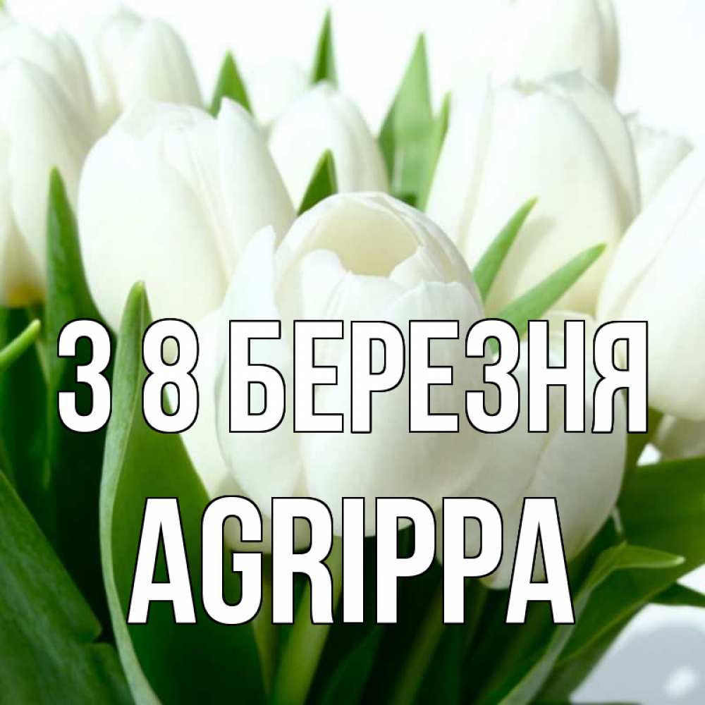 Открытка на каждый день з підписом, Agrippa З 8 БЕРЕЗНЯ цветы Прикольна листівка з побажанням онлайн скачати безкоштовно 