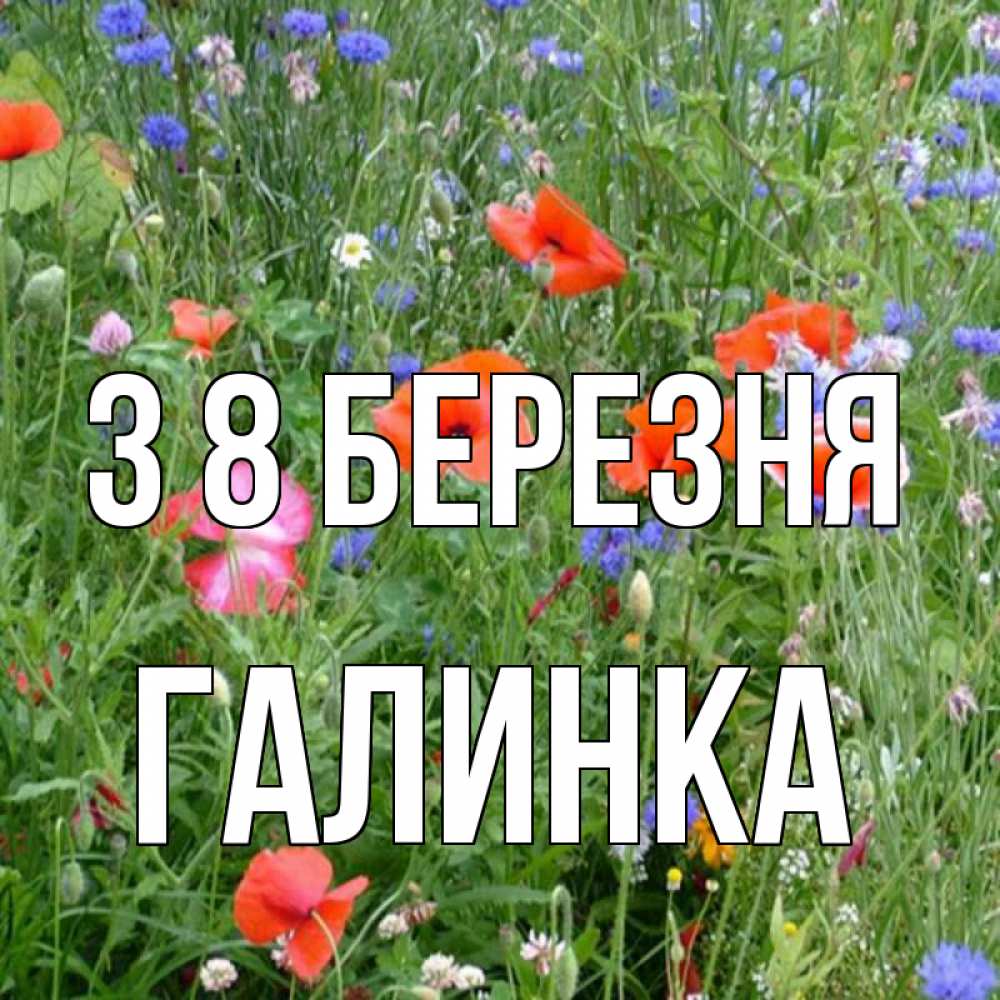 Открытка на каждый день з підписом, Галинка З 8 БЕРЕЗНЯ международный женский день 4 Прикольна листівка з побажанням онлайн скачати безкоштовно 