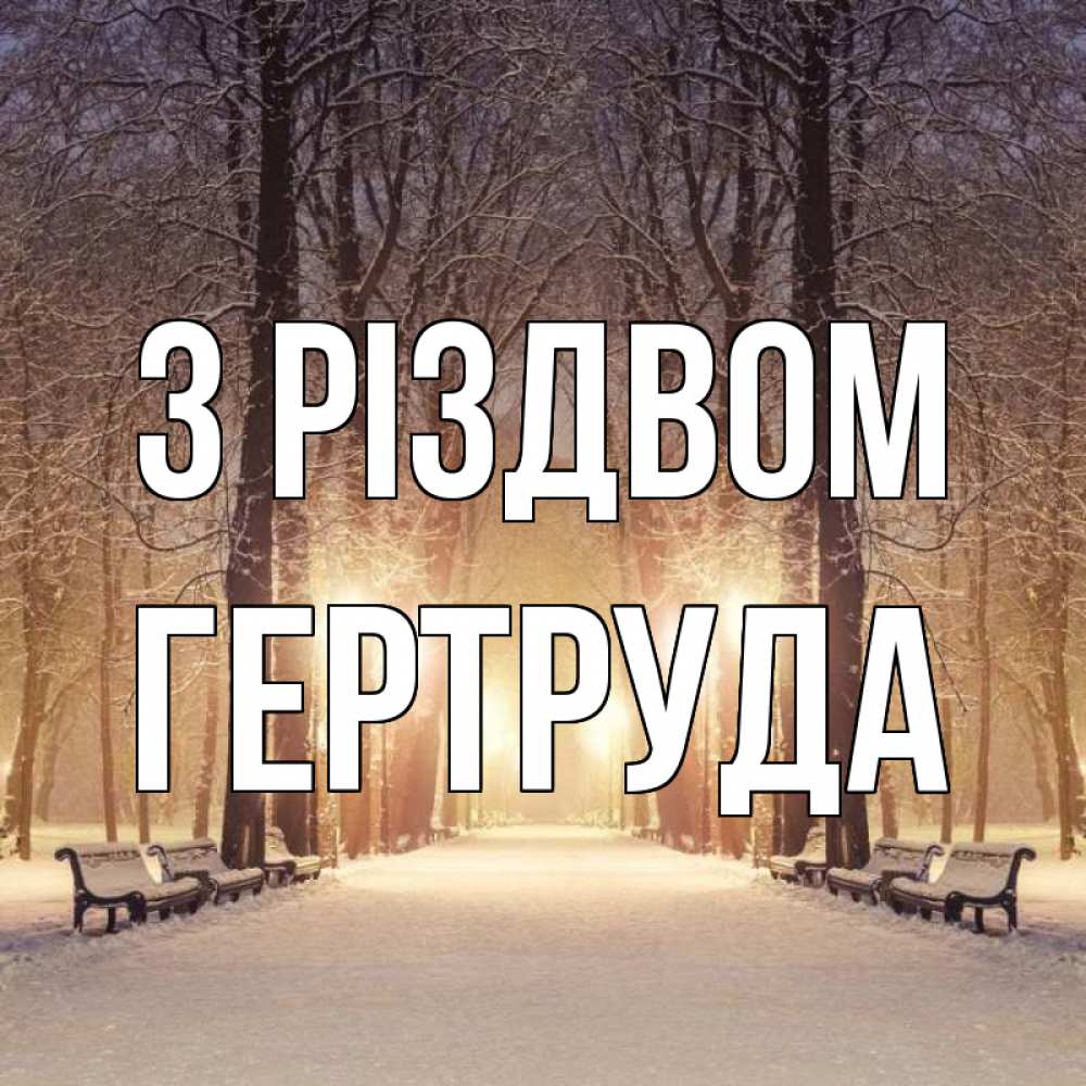 Открытка на каждый день з підписом, Гертруда З Різдвом зима, парк, фонарь, лес Прикольна листівка з побажанням онлайн скачати безкоштовно 