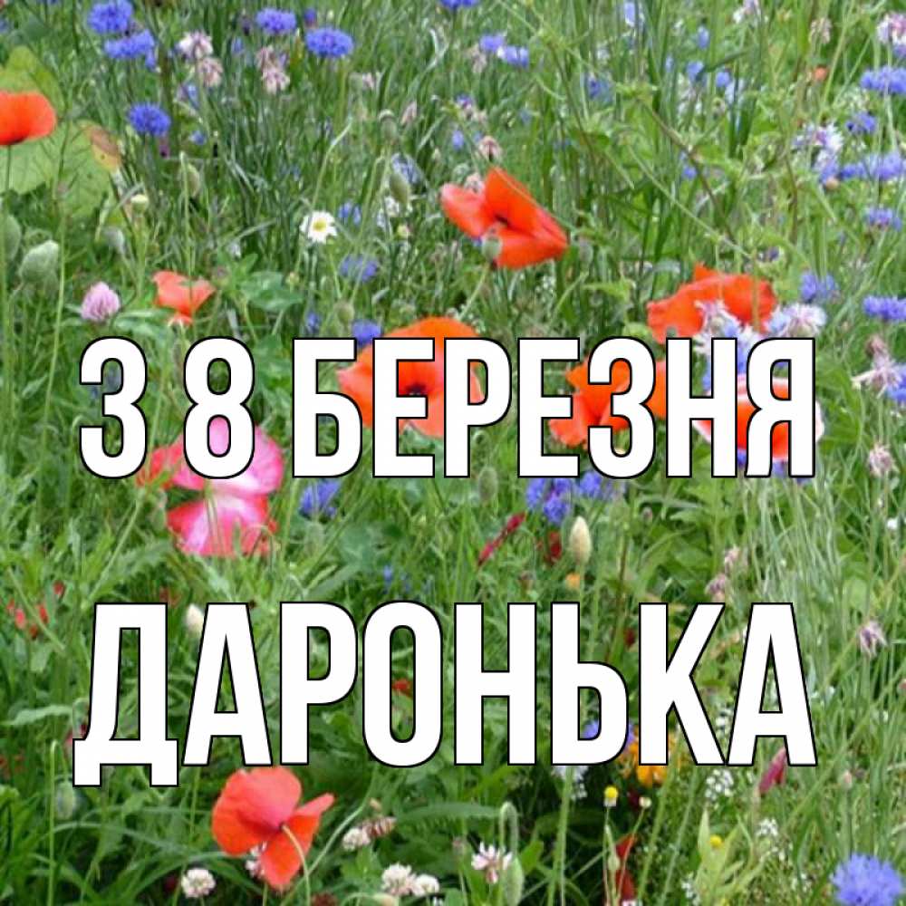 Открытка на каждый день з підписом, Даронька З 8 БЕРЕЗНЯ международный женский день 4 Прикольна листівка з побажанням онлайн скачати безкоштовно 