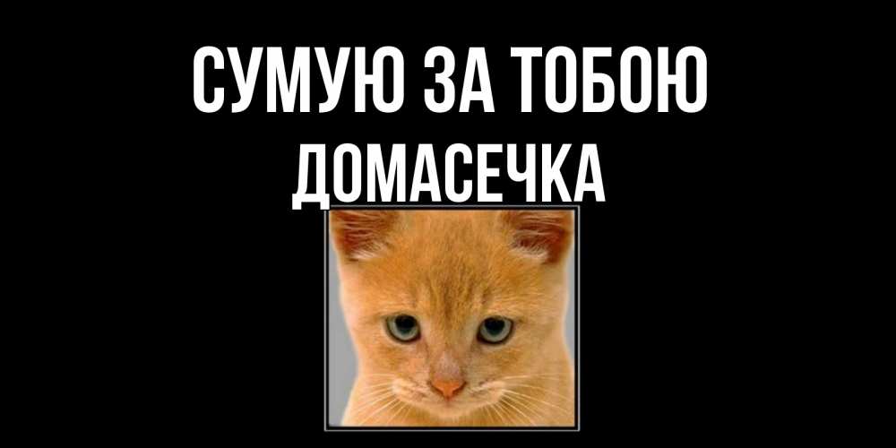Открытка на каждый день з підписом, Домасечка Сумую за тобою открытки рыжий котенок скучает по тебе Прикольна листівка з побажанням онлайн скачати безкоштовно 