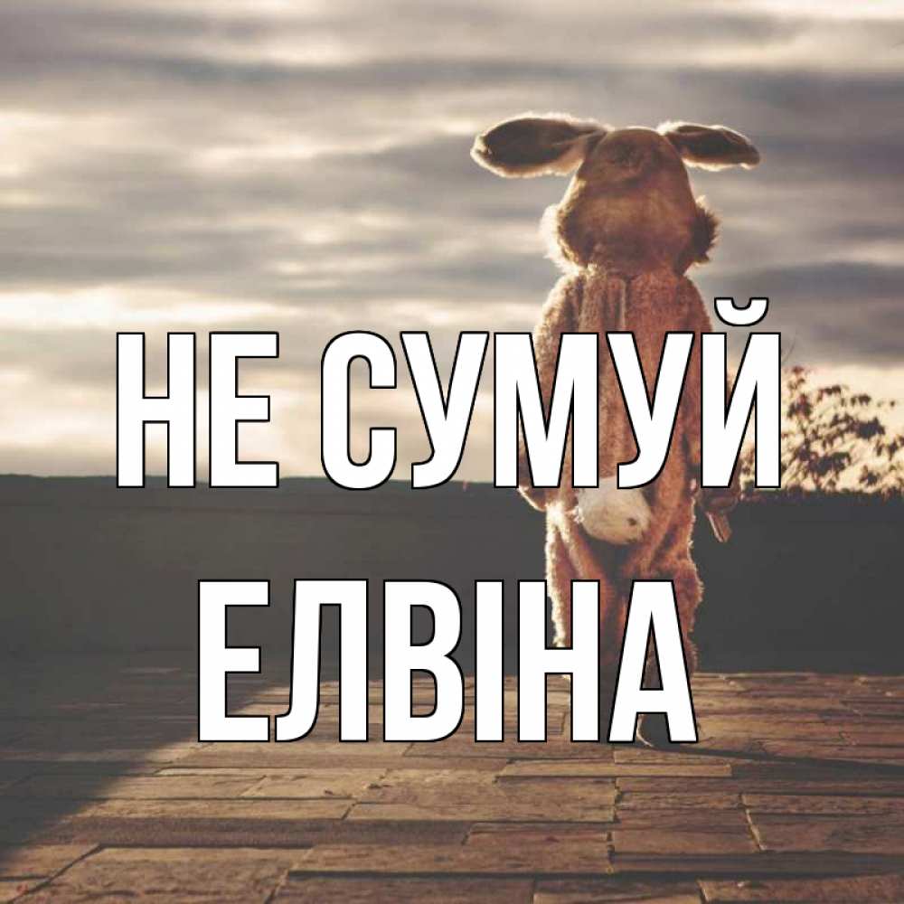 Открытка на каждый день з підписом, Елвіна Не сумуй со спины Прикольна листівка з побажанням онлайн скачати безкоштовно 