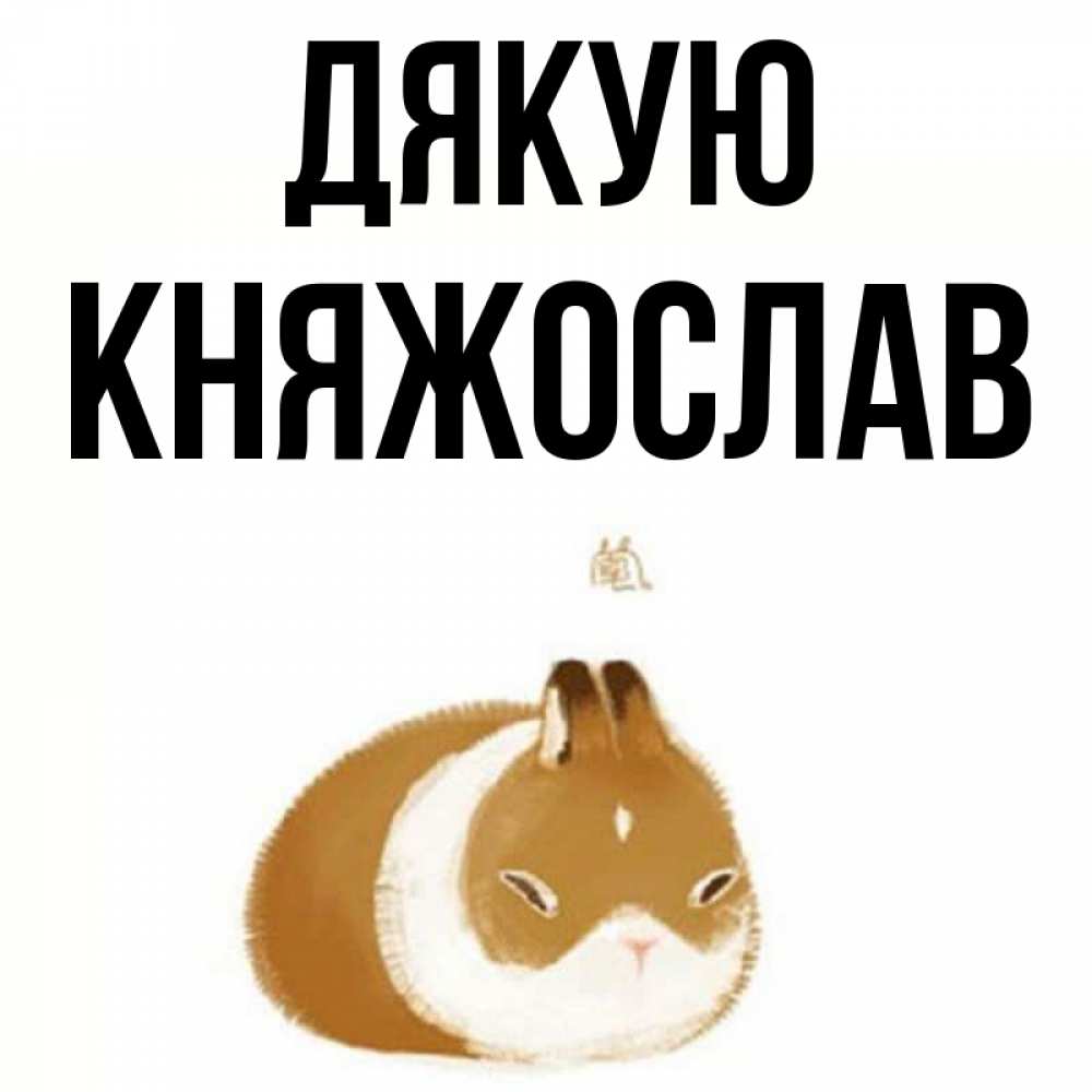 Открытка на каждый день з підписом, Княжослав Дякую коричнево белый домашний питомец Прикольна листівка з побажанням онлайн скачати безкоштовно 