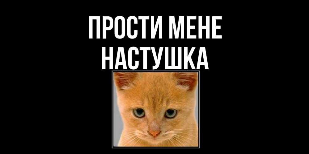 Открытка на каждый день з підписом, Настушка Прости мене рыжий грустный кот просит прощения Прикольна листівка з побажанням онлайн скачати безкоштовно 