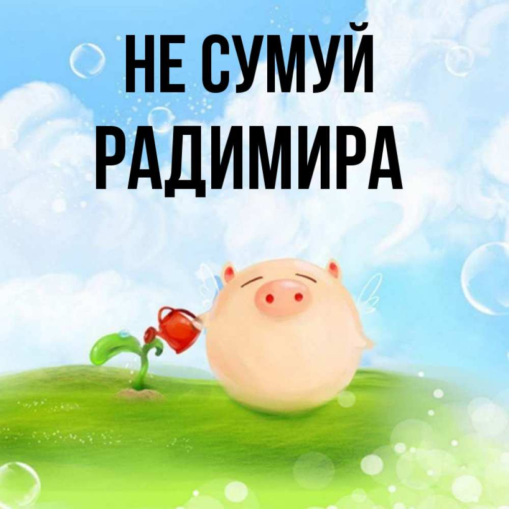 Открытка на каждый день з підписом, Радимира Не сумуй поливает цветок порося Прикольна листівка з побажанням онлайн скачати безкоштовно 