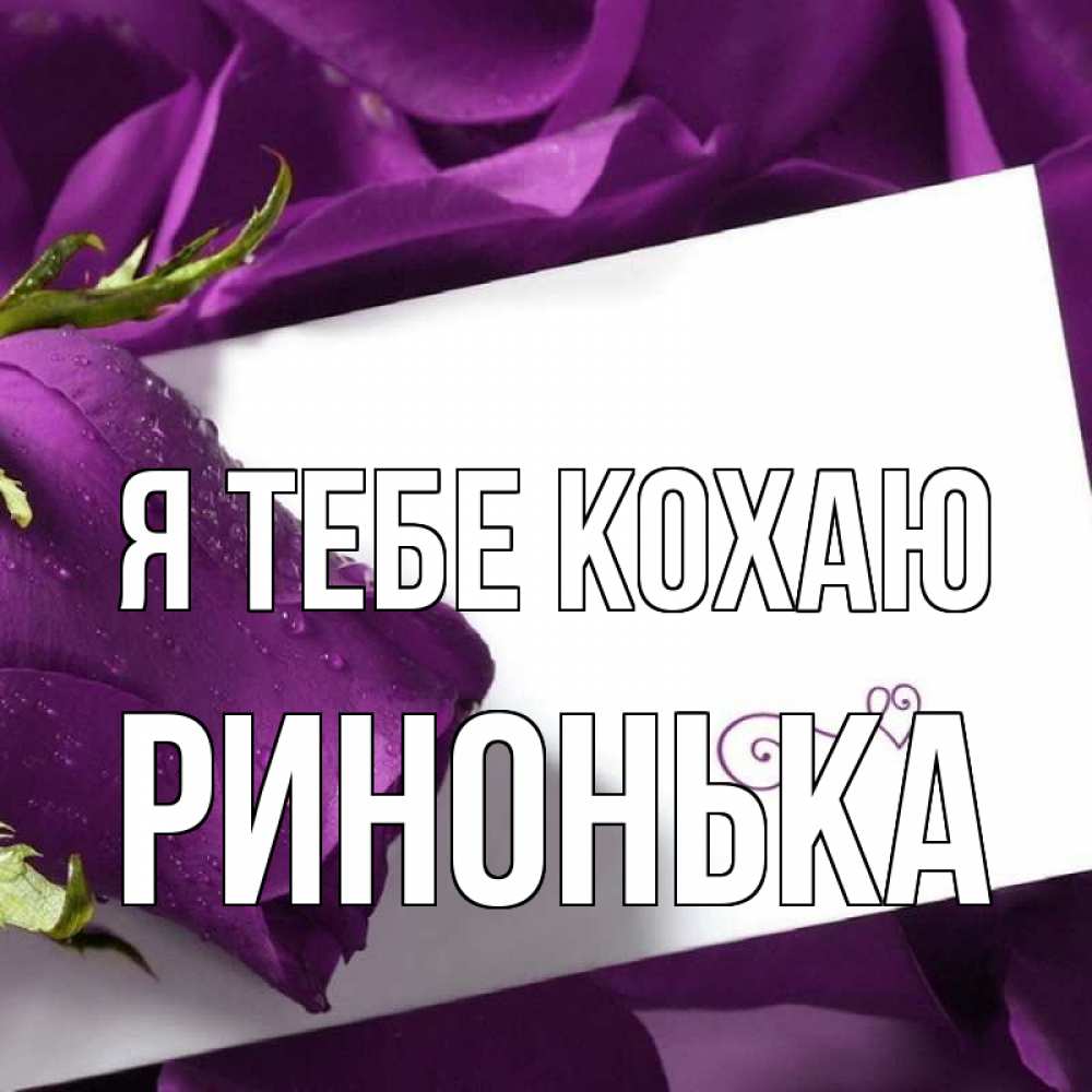 Открытка на каждый день з підписом, Ринонька Я тебе кохаю роза Прикольна листівка з побажанням онлайн скачати безкоштовно 