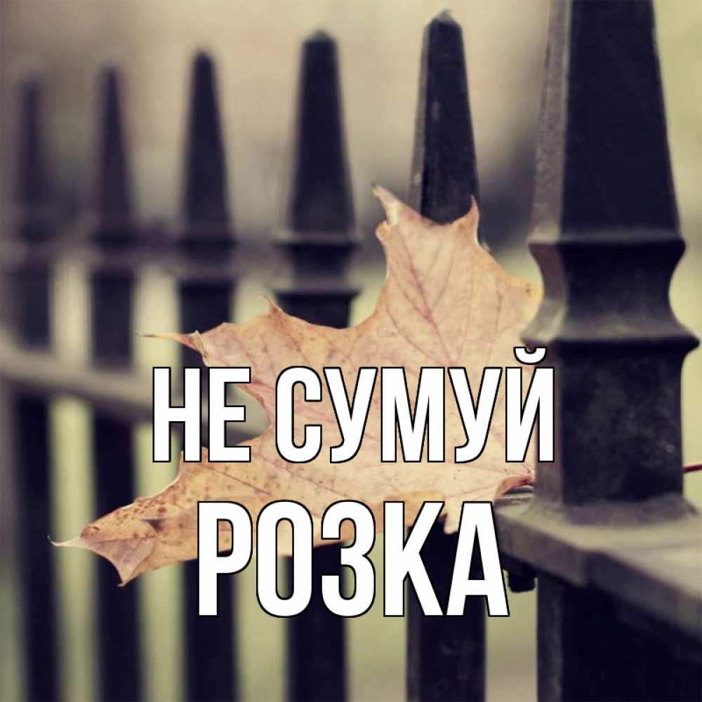Открытка на каждый день з підписом, Розка Не сумуй лист клена Прикольна листівка з побажанням онлайн скачати безкоштовно 