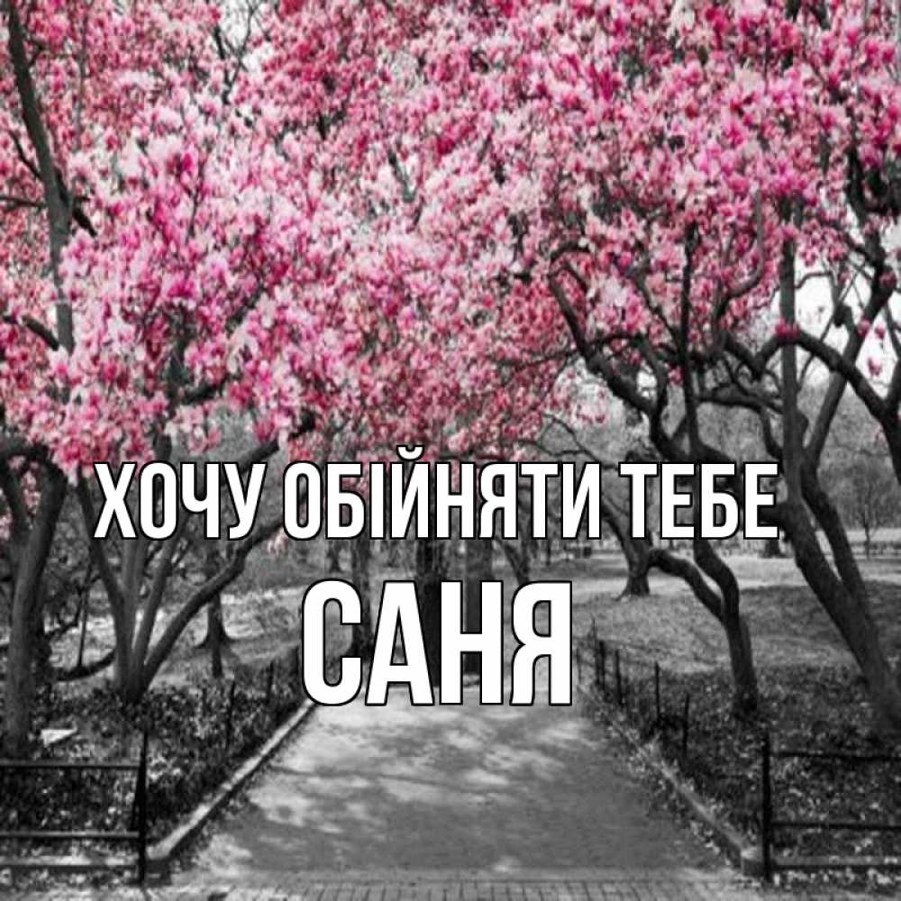 Открытка на каждый день з підписом, Саня Хочу обійняти тебе обработанное фото Прикольна листівка з побажанням онлайн скачати безкоштовно 