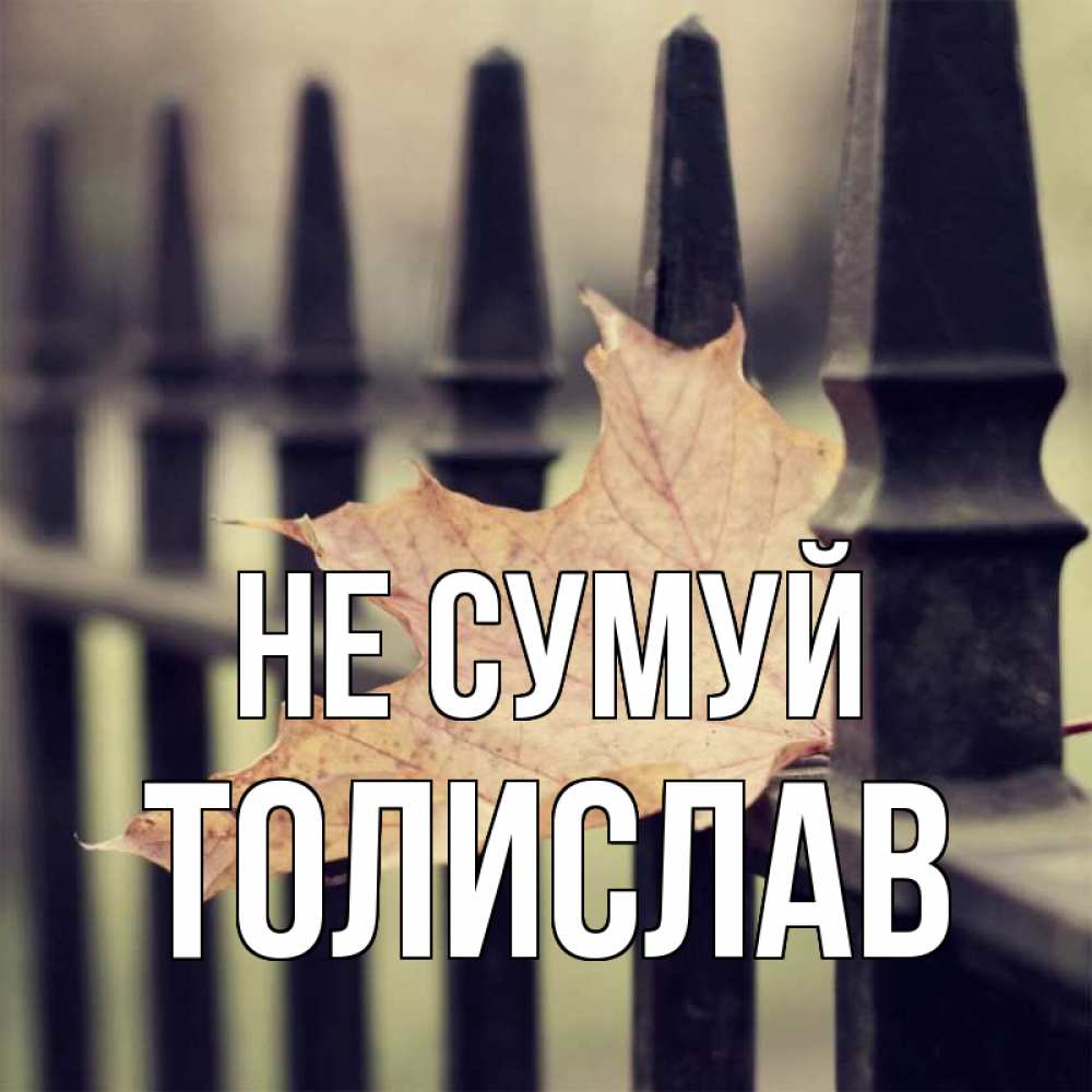 Открытка на каждый день з підписом, Толислав Не сумуй лист клена Прикольна листівка з побажанням онлайн скачати безкоштовно 