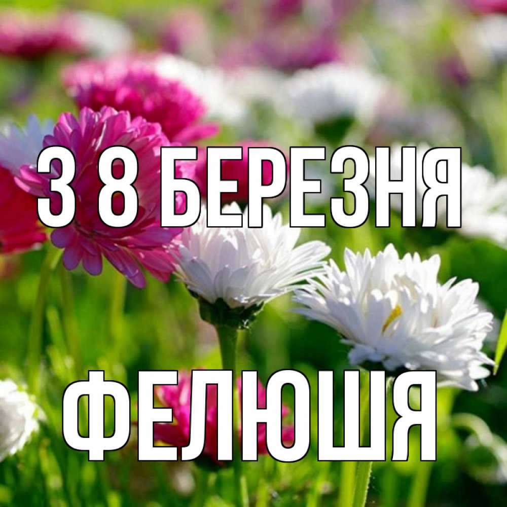 Открытка на каждый день з підписом, Фелюшя З 8 БЕРЕЗНЯ международный женский день 1 Прикольна листівка з побажанням онлайн скачати безкоштовно 
