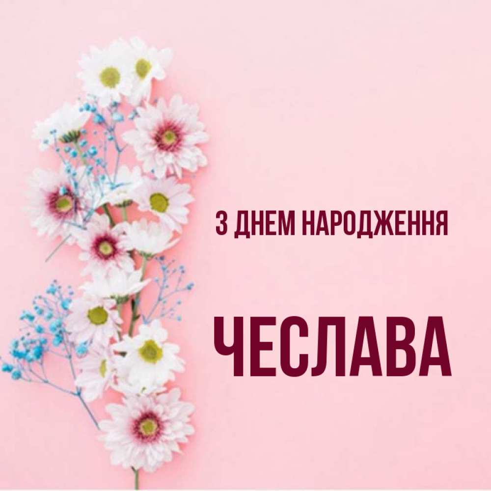 Открытка на каждый день з підписом, Чеслава З Днем народження Родная моя с днем рождения тебя картинка с цветами белыми и голубыми Прикольна листівка з побажанням онлайн скачати безкоштовно 