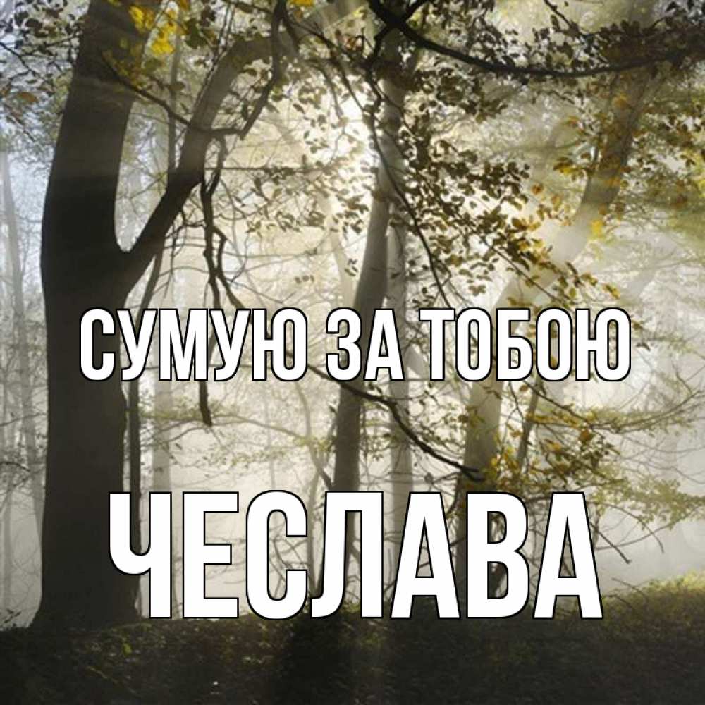 Открытка на каждый день з підписом, Чеслава Сумую за тобою грустно Прикольна листівка з побажанням онлайн скачати безкоштовно 