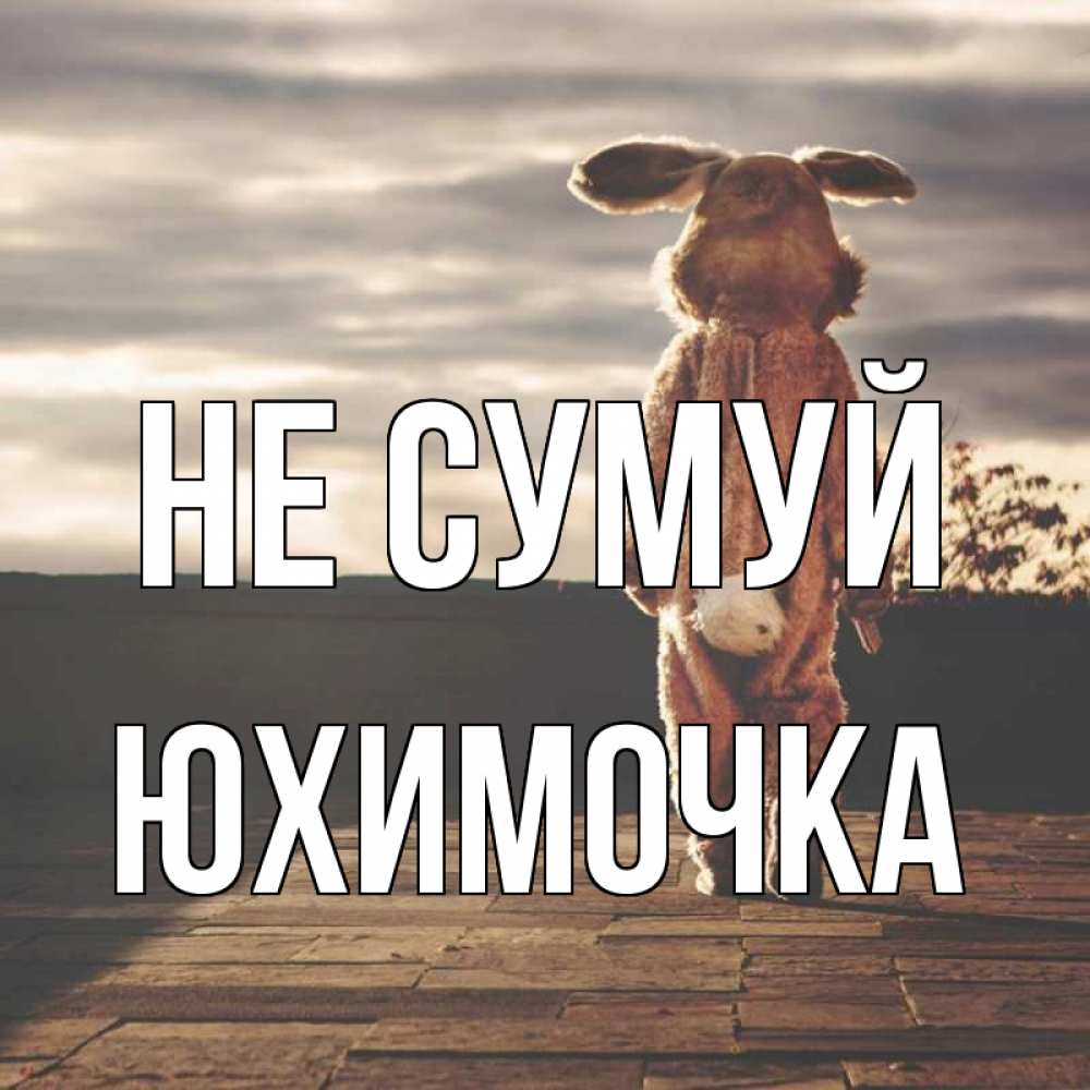Открытка на каждый день з підписом, Юхимочка Не сумуй со спины Прикольна листівка з побажанням онлайн скачати безкоштовно 
