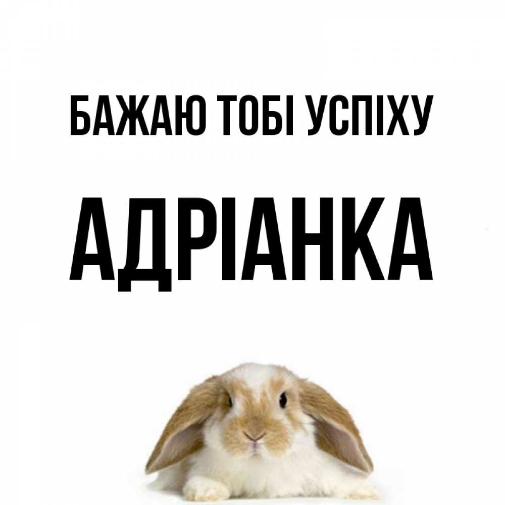 Открытка на каждый день з підписом, Адріанка Бажаю тобі успіху открытки с произвольным текстом который можно вставить в открытку и создать ее самостоятельно бесплатно онлайн Прикольна листівка з побажанням онлайн скачати безкоштовно 