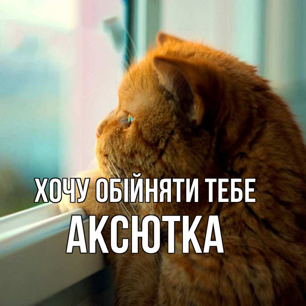 Открытка на каждый день з підписом, Аксютка Хочу обійняти тебе большой огромный рыжий котяра Прикольна листівка з побажанням онлайн скачати безкоштовно 