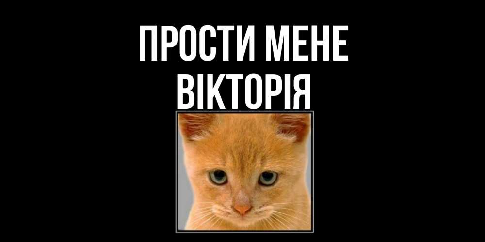 Открытка на каждый день з підписом, Вікторія Прости мене рыжий грустный кот просит прощения Прикольна листівка з побажанням онлайн скачати безкоштовно 