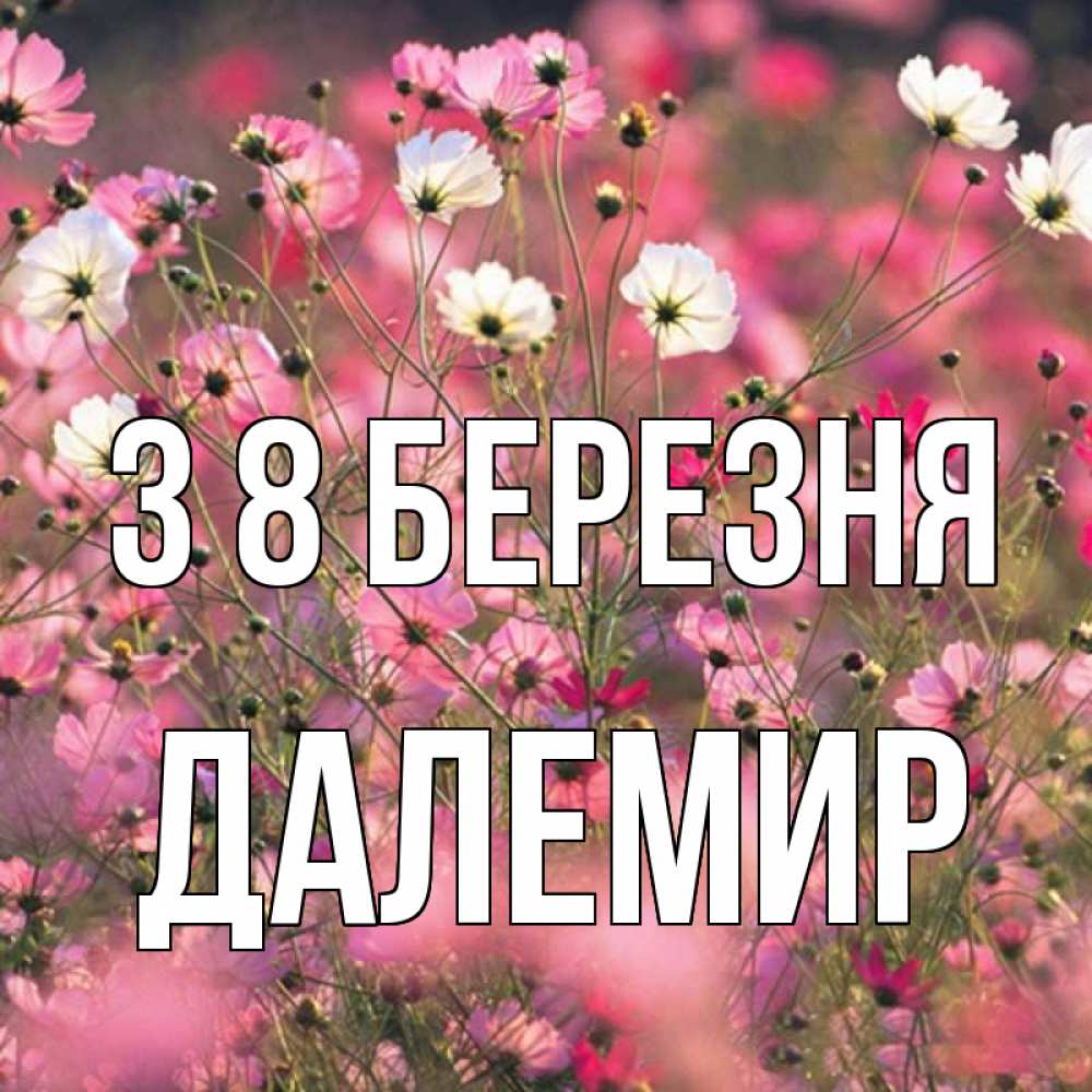 Открытка на каждый день з підписом, Далемир З 8 БЕРЕЗНЯ красиво 1 Прикольна листівка з побажанням онлайн скачати безкоштовно 