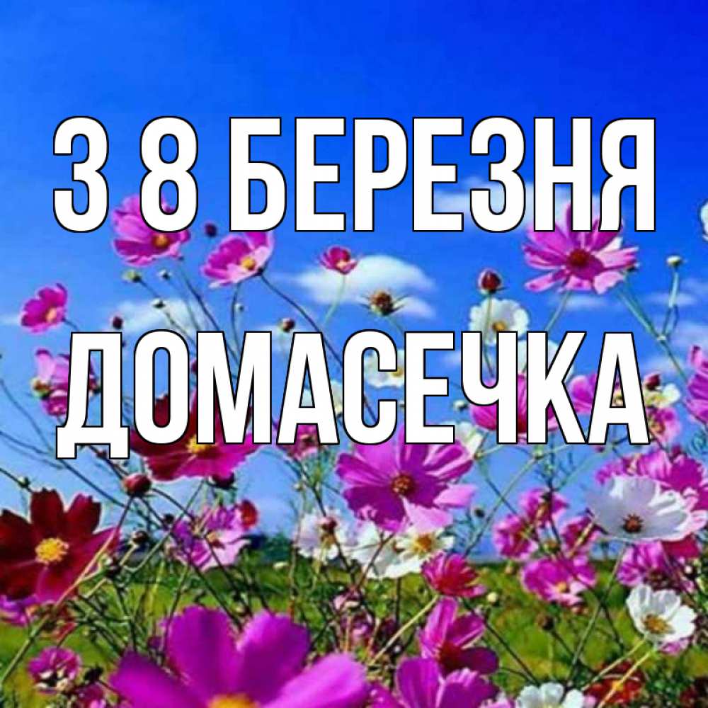 Открытка на каждый день з підписом, Домасечка З 8 БЕРЕЗНЯ цветы Прикольна листівка з побажанням онлайн скачати безкоштовно 