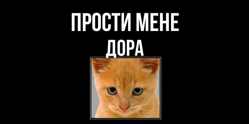 Открытка на каждый день з підписом, Дора Прости мене рыжий грустный кот просит прощения Прикольна листівка з побажанням онлайн скачати безкоштовно 