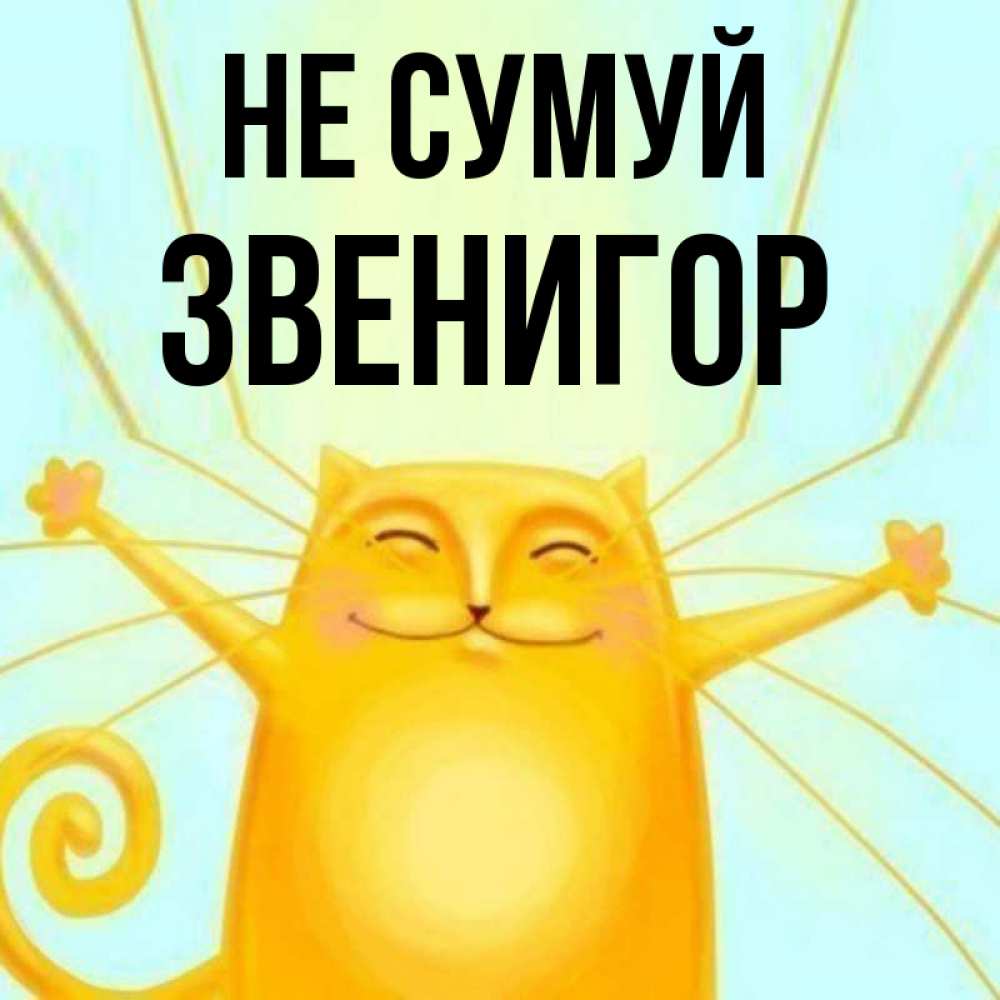 Открытка на каждый день з підписом, Звенигор Не сумуй обнимашки усатые Прикольна листівка з побажанням онлайн скачати безкоштовно 