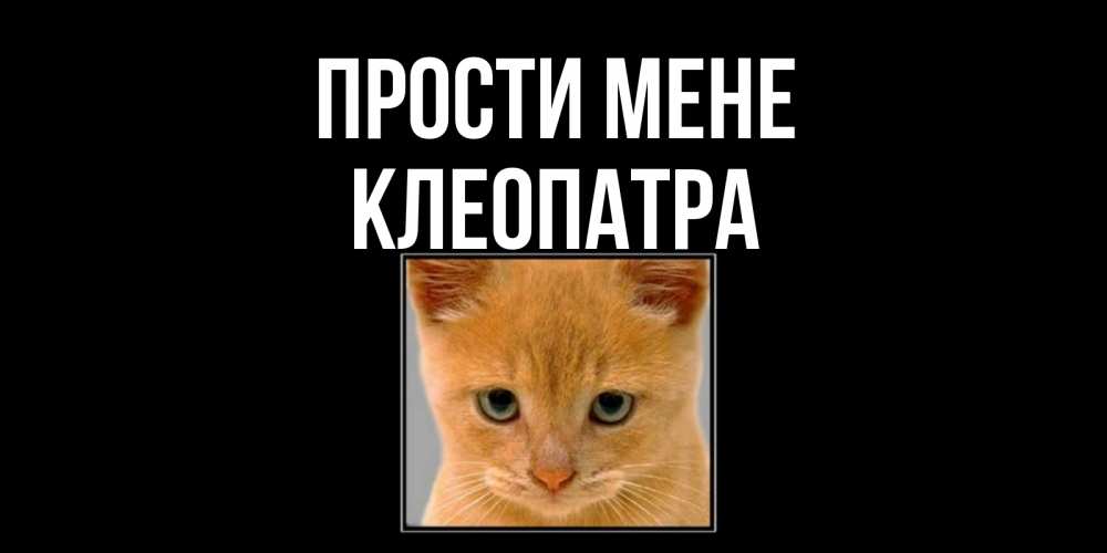 Открытка на каждый день з підписом, Клеопатра Прости мене рыжий грустный кот просит прощения Прикольна листівка з побажанням онлайн скачати безкоштовно 