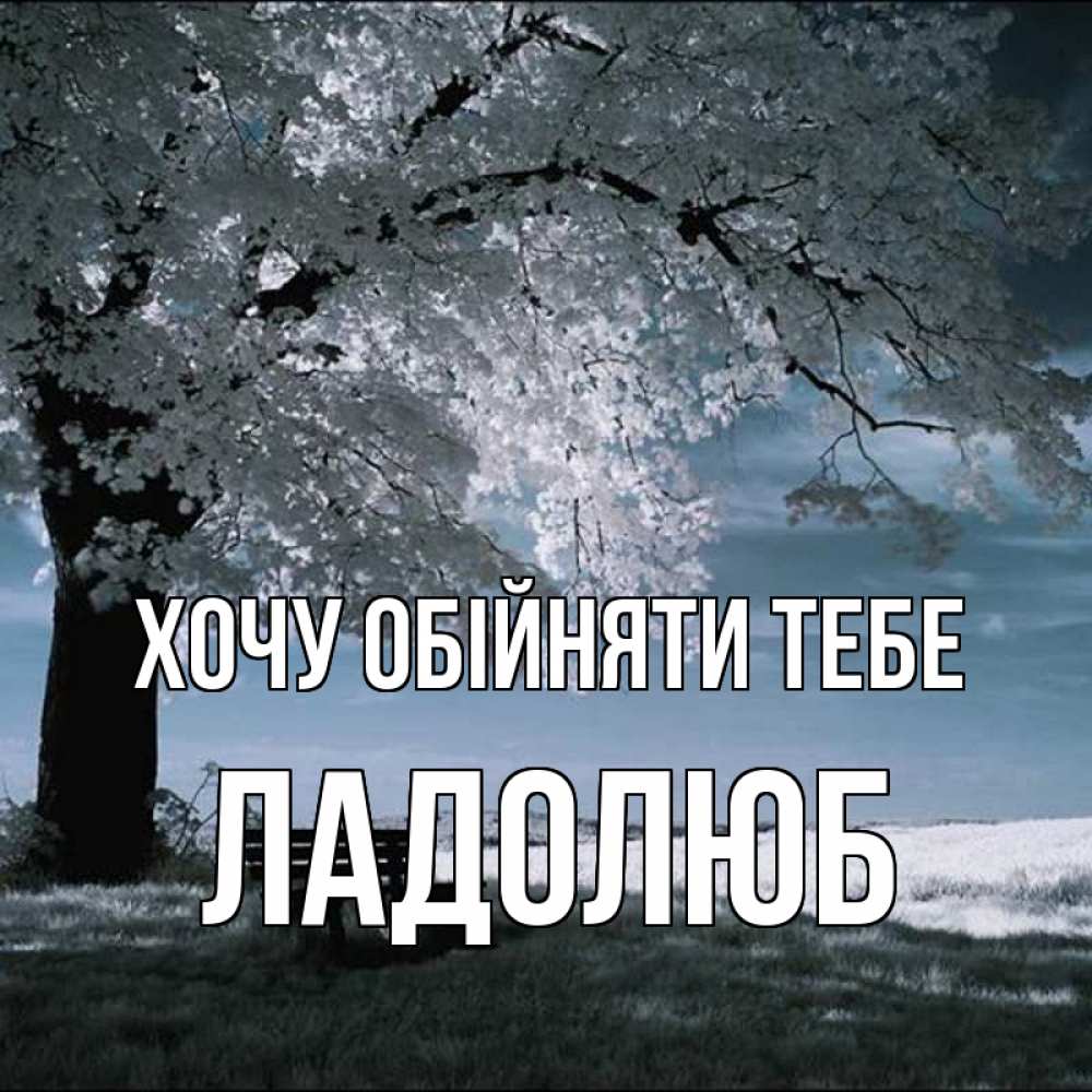 Открытка на каждый день з підписом, Ладолюб Хочу обійняти тебе дерево Прикольна листівка з побажанням онлайн скачати безкоштовно 