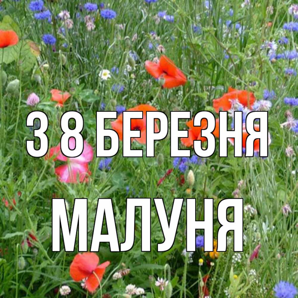 Открытка на каждый день з підписом, Малуня З 8 БЕРЕЗНЯ международный женский день 4 Прикольна листівка з побажанням онлайн скачати безкоштовно 
