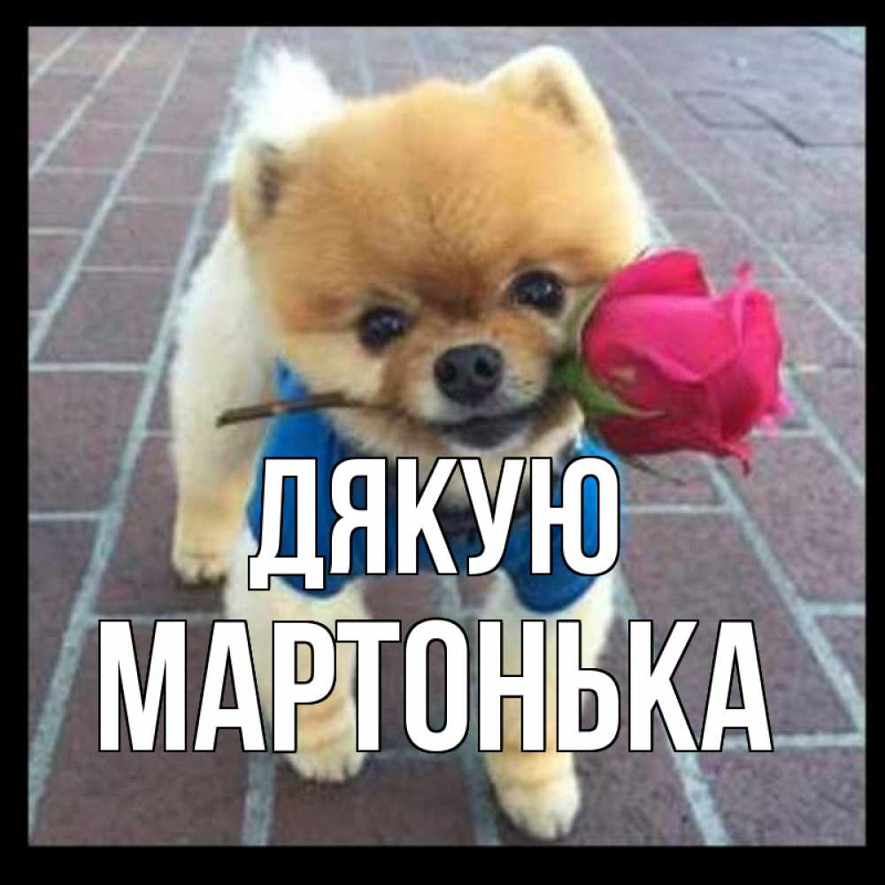 Открытка на каждый день з підписом, Мартонька Дякую спасибо и дарю тебе цветок Прикольна листівка з побажанням онлайн скачати безкоштовно 