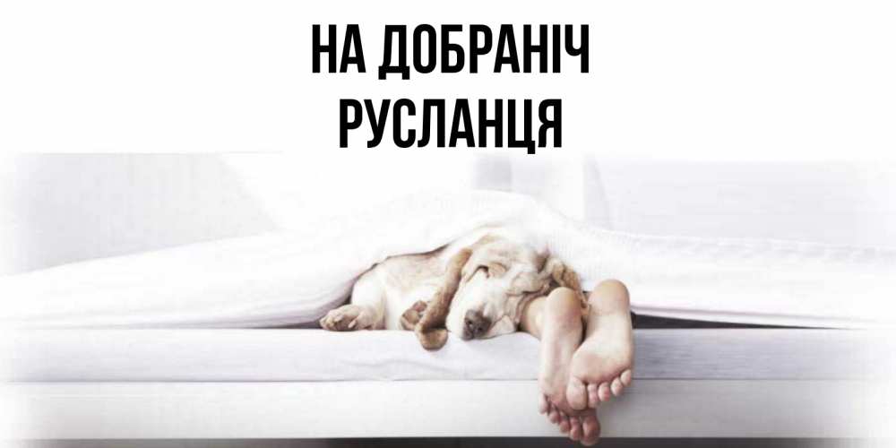 Открытка на каждый день з підписом, Русланця На добраніч кровать с собакой пожелание сладких снов и спокойной ночи Прикольна листівка з побажанням онлайн скачати безкоштовно 