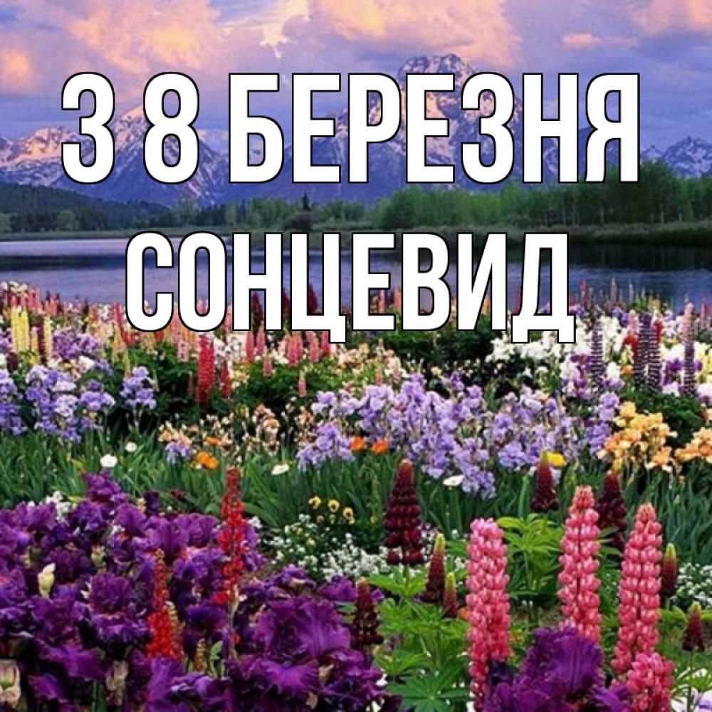 Открытка на каждый день з підписом, Сонцевид З 8 БЕРЕЗНЯ международный женский день Прикольна листівка з побажанням онлайн скачати безкоштовно 