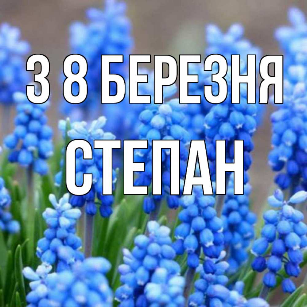 Открытка на каждый день з підписом, Степан З 8 БЕРЕЗНЯ Поздравительная открытка для женщин с цветами на праздничную дату Прикольна листівка з побажанням онлайн скачати безкоштовно 