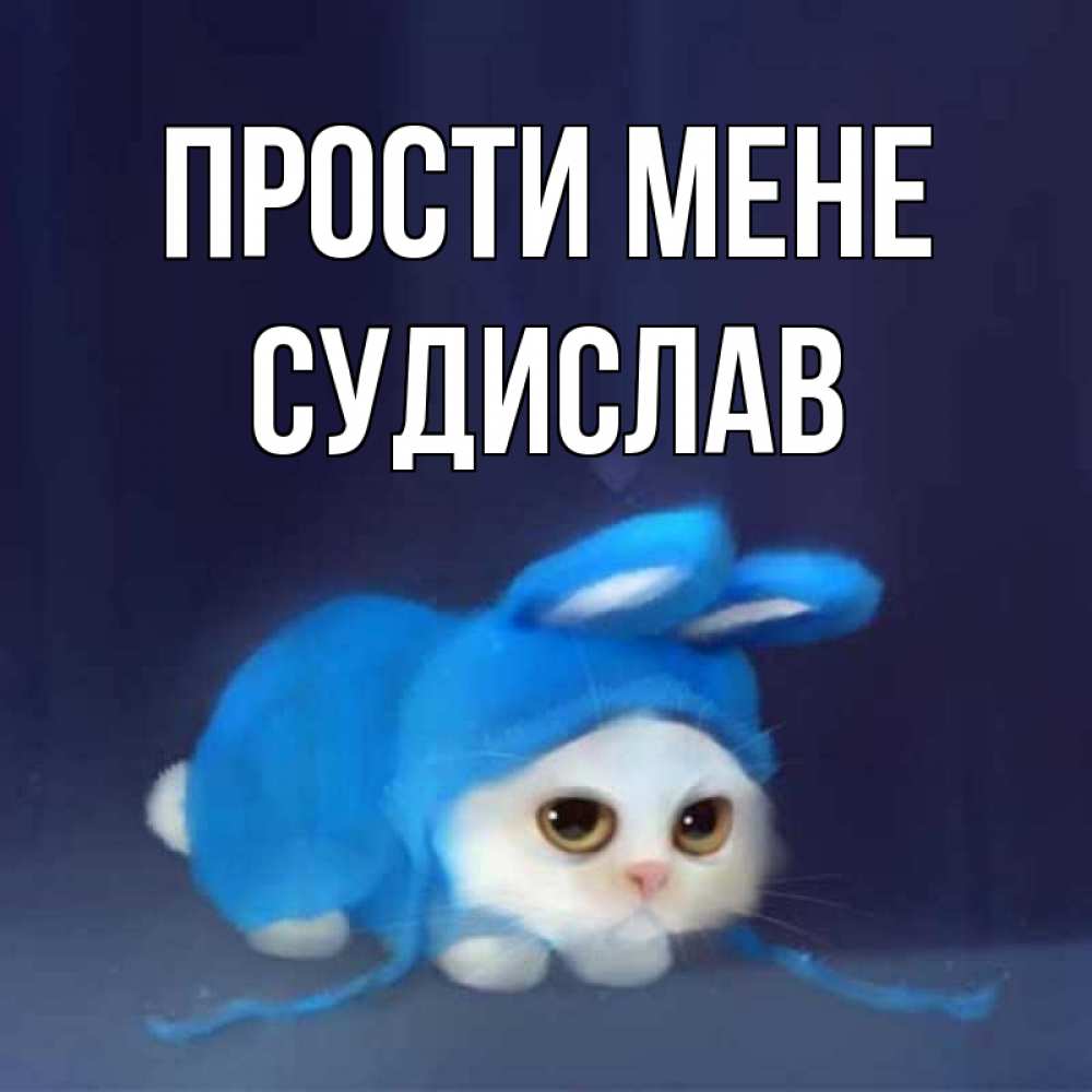 Открытка на каждый день з підписом, Судислав Прости мене невинный котозай просит прощения Прикольна листівка з побажанням онлайн скачати безкоштовно 