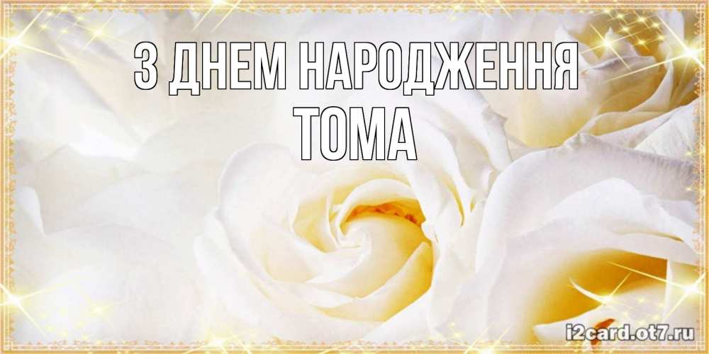 Открытка на каждый день з підписом, Тома З Днем народження красивые розы и капли росы на этих чудесных цветах Прикольна листівка з побажанням онлайн скачати безкоштовно 