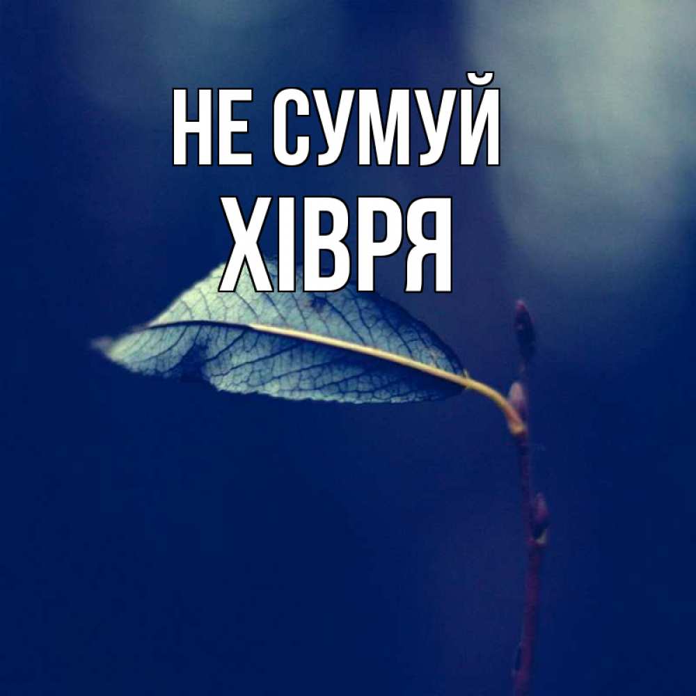 Открытка на каждый день з підписом, Хівря Не сумуй растение Прикольна листівка з побажанням онлайн скачати безкоштовно 