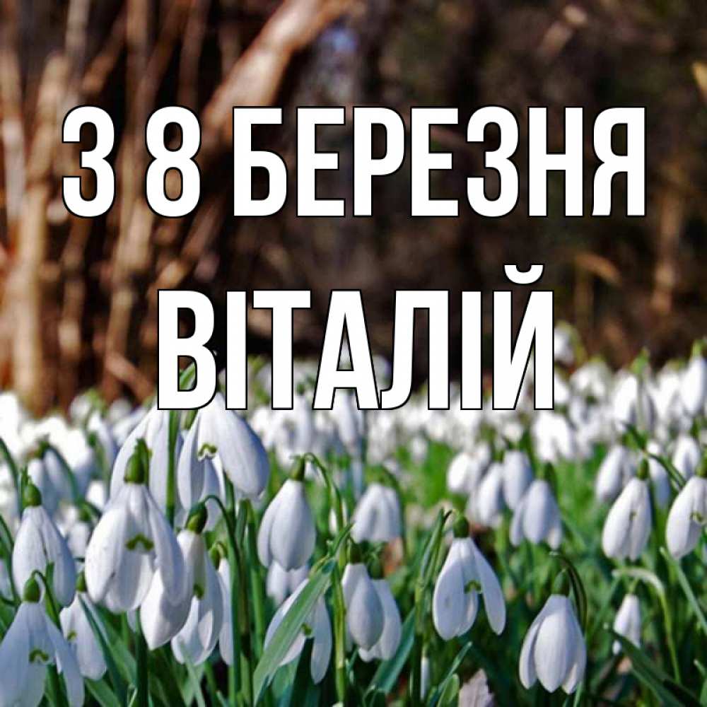 Открытка на каждый день з підписом, Віталій З 8 БЕРЕЗНЯ с подснежниками 1 Прикольна листівка з побажанням онлайн скачати безкоштовно 