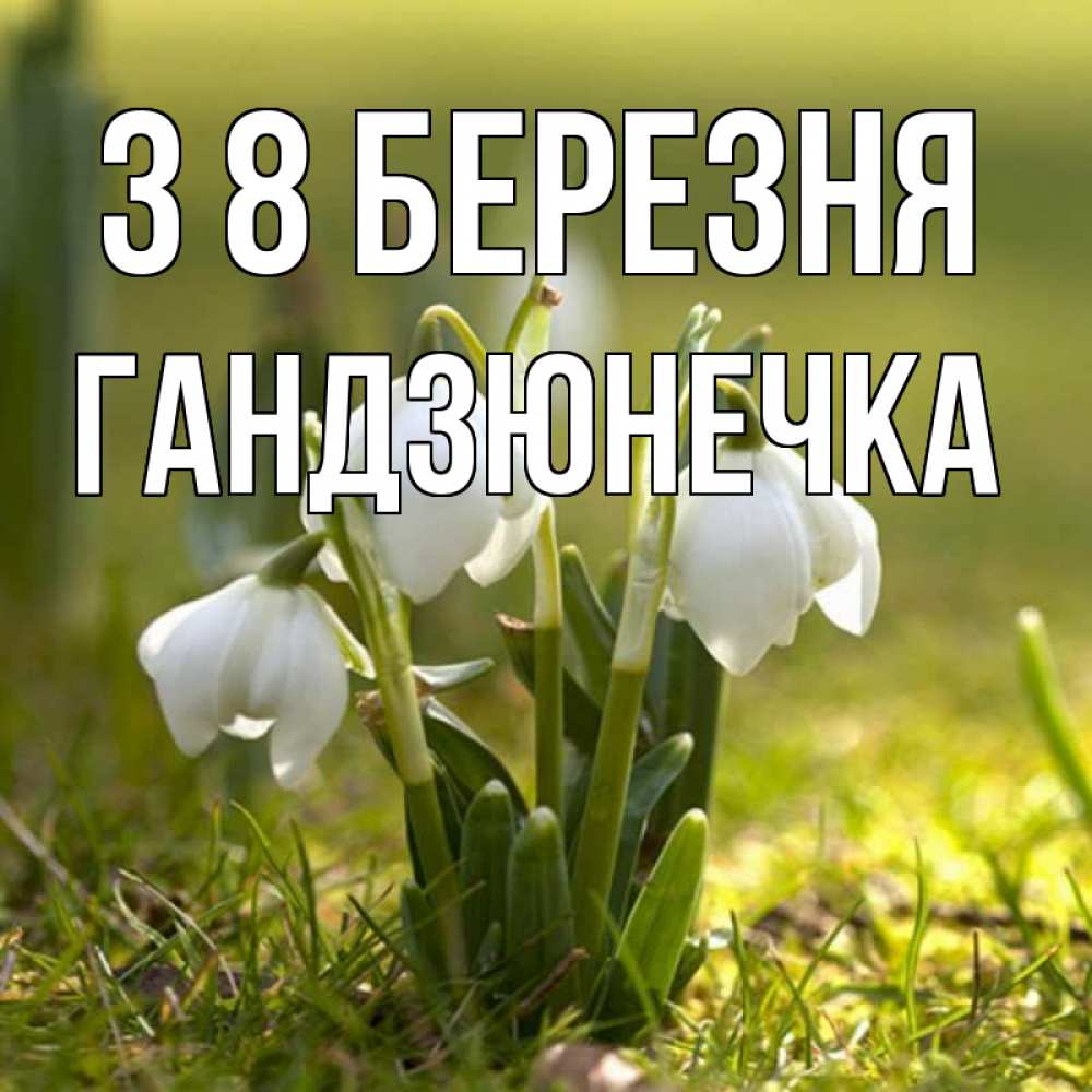 Открытка на каждый день з підписом, Гандзюнечка З 8 БЕРЕЗНЯ ранние цветы 2 Прикольна листівка з побажанням онлайн скачати безкоштовно 