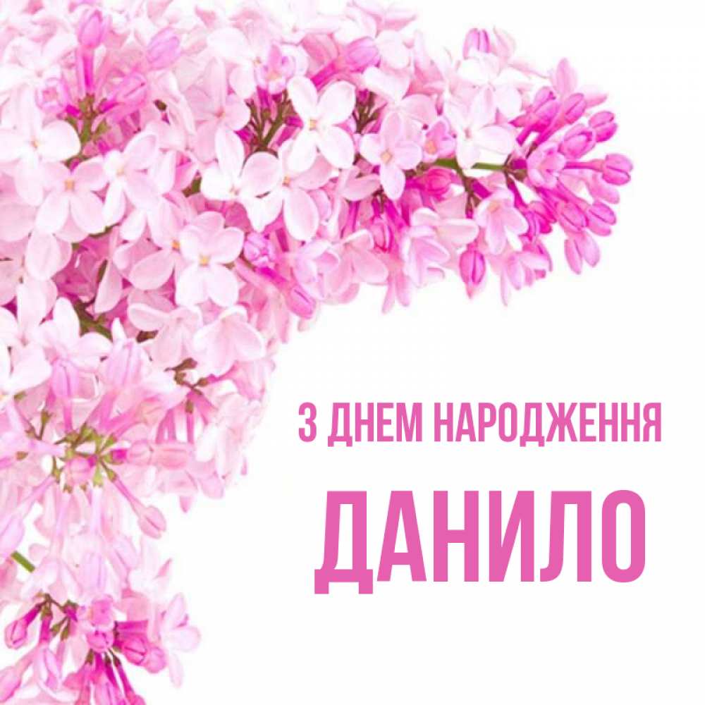 Открытка на каждый день з підписом, Данило З Днем народження Сирень на белом фоне Прикольна листівка з побажанням онлайн скачати безкоштовно 