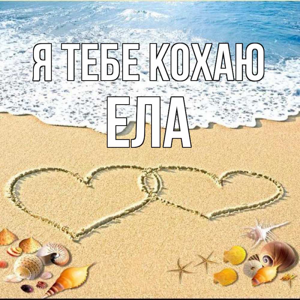 Открытка на каждый день з підписом, Ела Я тебе кохаю ракушки Прикольна листівка з побажанням онлайн скачати безкоштовно 